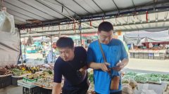 <b>聊城市查验检测核心抽调专业手艺项小组</b>