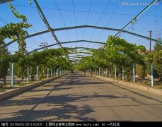 <strong>加到2009年300元/亩</strong>