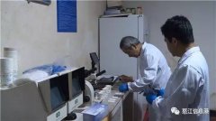 <b>过外不雅察看生猪身体能否健康</b>